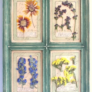 Puede incluir: Una pieza de arte botánico enmarcada con cuatro paneles con flores prensadas. Las flores son en tonos de amarillo, morado y azul, sobre un fondo claro. El marco es de color verde azulado desgastado.