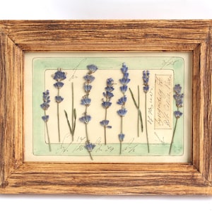 Torkad Lavendel I Ram Vintage Herbarium, Äkta Pressade Blommor Tavla, Botanisk Träram, Rustik Present
