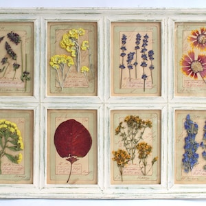 Decorazione murale con fiori pressati, grande opera d'arte organica incorniciata, quadro botanico con foglie di erbe essiccate, cornice rustica vintage in stile fattoria, pianta stabilizzata