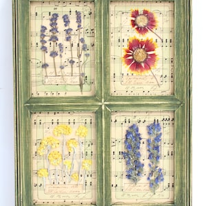 May include: A rectangular green wooden frame with a windowpane design containing four separate sections. Each section displays vintage sheet music as a background with pressed dried flowers in purple, red, yellow, and blue arranged vertically.