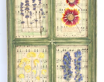 Framed dried flower wall decor, botanical herbarium specimen plants art, french country herb vintage collage, cottage wildflower farmhouse
