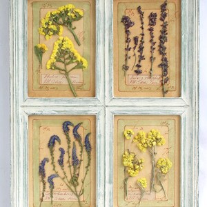 Fiori secchi, Composizione do Fiori, Erbario antico, Cornice stretta verticale, Arte botanica, Arte naturale, Collezione floreale, Erbario