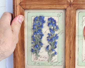 Dried Pressed Flower Framed Greenery Art Showcasing Vintage Dry Flowers Country Herbarium, Real Cottage Rustic Wooden Botanical Plants Set