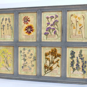 Grande arte orizzontale con fiori pressati grigi, erbario botanico, decorazione da parete vintage in stile fattoria, cornice rustica francese con fiori appesi