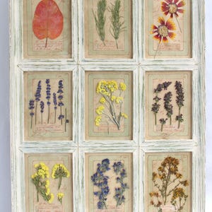 Arte con fiori pressati, decorazioni floreali da parete, stile rustico, piante di erbe essiccate incorniciate, decorazioni botaniche di campagna, cucina vintage in stile cottage