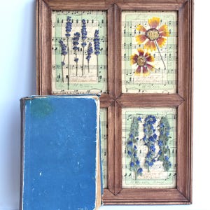 Fiori secchi in cornice, decorazioni da parete con cornice per la cucina, carta da musica floreale secca da appendere in soggiorno, piante botaniche pressate, pianta erbacea marrone da fattoria