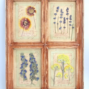 Decorazione da parete con fiori pressati in stile fattoria: set regalo con erbe essiccate incorniciate, cornice floreale con piante vintage, erbario botanico, campagna francese secca