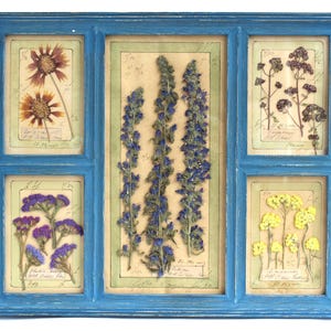 Cornice botanica vintage da fattoria con cornice, set di fiori secchi, rustico, pressato a secco, fatto a mano, con fiori di campo appesi, erbario
