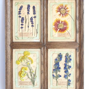 Fiori secchi in cornice, arte con fiori pressati, decorazioni murali in stile fattoria, casa botanica vintage, grandi piante secche incorniciate, cucina rustica con erbario