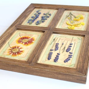 Fiori pressati incorniciati, decorazioni floreali da parete, arte con fiori secchi pressati, erbario botanico, cucina di campagna, piante di erbe aromatiche francesi d'epoca