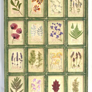 Pressed Flower Herbarium Wall Art: Large Framed Botanical Gallery Set