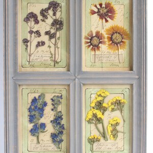 Arte con fiori secchi, fiori pressati incorniciati, decorazioni murali in stile country francese, cornice grigia effetto invecchiato, stile rustico, set di foglie di erbe aromatiche floreali