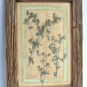 Arte murale con fiori secchi, fiori pressati in cornice, decorazioni murali rustiche, arte murale botanica vintage, campioni di quadri da cucina, grandi erbe secche