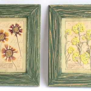 Decorazione da parete con cornice di piante botaniche pressate, esemplari di fiori selvatici essiccati da appendere, vere erbe della campagna francese, set di cornici floreali vintage per erbario
