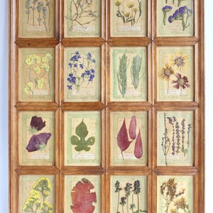 Arte con fiori pressati, decorazioni murali in stile fattoria, erbario vintage, fiori secchi incorniciati, decorazioni floreali in legno, casa di campagna rustica e retrò con elementi botanici