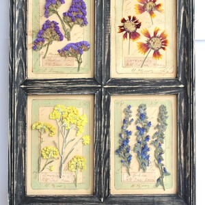 Arte murale con erbario floreale incorniciato, fiori pressati, cornice vintage nera per fiori secchi, quadro rustico con erbe aromatiche essiccate e conservate