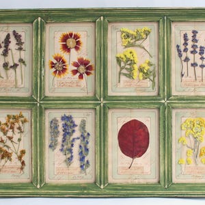 Set di cornici in stile fattoria, erbario, pittura botanica di erbe pressate, campo di fiori selvatici, arte murale incorniciata, grande quadro in legno vintage di campagna francese