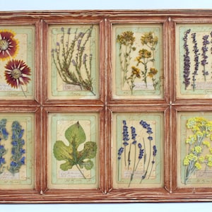 Fiori secchi incorniciati, arte con erbe pressate, grande cornice vintage, erbario rustico, decorazione botanica da appendere alla parete, immagini di piante vere