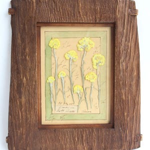 Arte con fiori pressati, fiori selvatici secchi appesi, decorazioni da parete in stile cottage, erbario vintage, regalo per la perdita di un animale domestico, cornice botanica francese