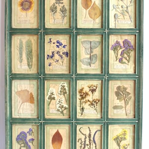 Set di decorazioni floreali rustiche francesi d'epoca, grande cornice verde, fiori secchi incorniciati, erbe aromatiche pressate, set di decorazioni da parete in stile fattoria, piante da appendere.