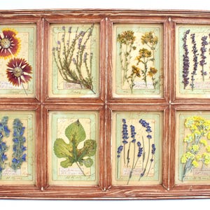 Fiori pressati vintage, decorazioni murali in stile fattoria, decorazioni floreali per la casa, quadri di campagna francese, arte di fiori selvatici, esemplari botanici