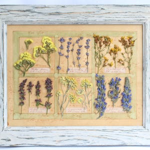 Decorazione per la casa con cornice botanica pressata, fiori da appendere alla parete, arte vintage essiccata, erbario in stile fattoria, piante di erbe essiccate conservate, regalo floreale.
