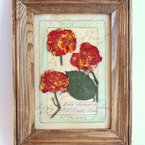 Cornice artistica con rose rosse essiccate francesi, regalo in stile rustico, cornice per fiori pressati, decorazione da parete con erbario vintage, quadro rustico essiccato