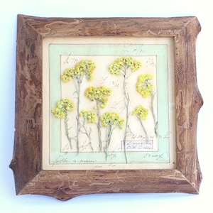 Arte con fiori pressati, decorazione da parete botanica, erbario vintage, decorazione da parete floreale con piante di erbe essiccate incorniciate, cottage rustico francese originale