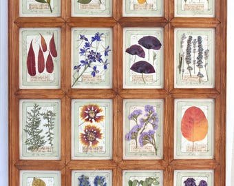 Large Dried Flowers Herbarium Frame Art, Herbal Wall Vintage Pressed Botanical, Farmhouse Decor Set, French Country Style Wood Artwork
