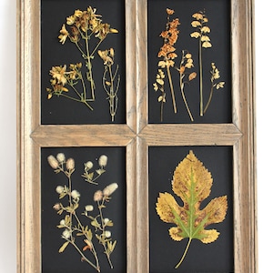 Cornice con sfondo nero, Erbe aromatiche incorniciate, Foglie pressate, Fiori secchi, Arte floreale botanica da parete, Set regalo di decorazioni in legno per camera da letto, Erbario originale