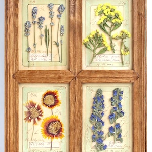 Arte da parete alta con fiori pressati, fiori secchi, cornice verticale in stile fattoria, esemplari secchi incorniciati, erbe, piante, fiori selvatici, stile francese