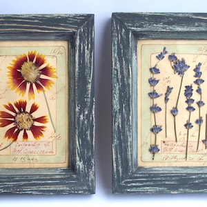 French Pressed Herbs, Self Gift, Pressed Flower Art, Framed Vintage Art, Botanical Herbarium, Rustic Farmhouse Wall Hangings, Herb Dry Plant
