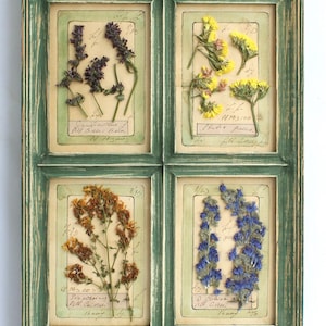 Cornice verde alta vintage con fiori secchi, erbe pressate incorniciate, arredamento per la casa in stile fattoria, decorazione floreale da parete, botanica francese secca, regalo per la mamma