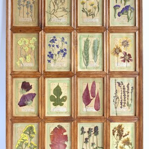 Fiori secchi incorniciati, pianta di legno di fienile incorniciata, decorazione da parete per la stanza, arte di erbe aromatiche vintage, fiori secchi pressati, erbario da fattoria, quadro botanico
