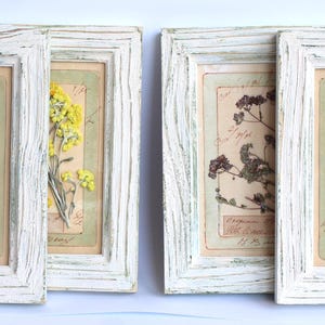 Regalo di arte murale con fiori pressati, set di 4 cornici per foto in stile francese Herbier, decorazione rustica con fiori selvatici, erbario artistico