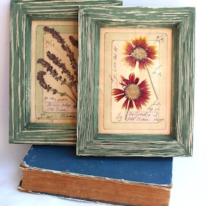 Arte con fiori pressati, dipinti con cornice per decorazioni murali per bar, farmacia, cucina, soggiorno, erbe essiccate, piccoli quadri vintage di campagna.