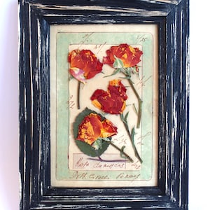 Cornice nera con fiori pressati, cornice con rose rosse, piccola decorazione da parete rustica con fiori secchi, erbario con immagini da cucina essiccate