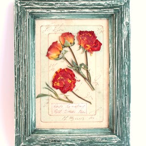 Decorazione da parete con fiori pressati, rosa rossa, regalo per erbario di fiori selvatici secchi, piccola cornice in legno con decorazioni in stile rustico, retrò