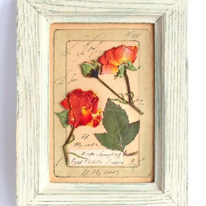 Cornice di rose rosse secche, fiori pressati, arte murale, cornice botanica in legno da appendere, quadro rustico, vecchio erbario essiccato vintage, campagna francese