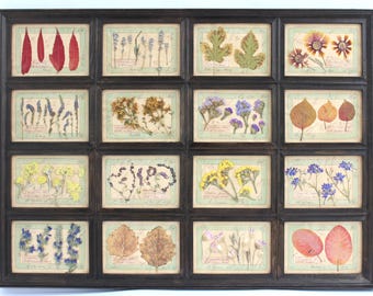 Pressed Flower Leaf Kitchen Rustic Art, Horizontal Frame, French Country Plant, Vintage Wall Decor, Botanical Hanging, Herbarium Specimen