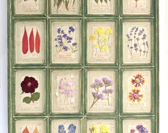 Large pressed flower art for farmhouse wall decor, beautiful dried flowers framed in a rustic green wood botanical herbarium specimen