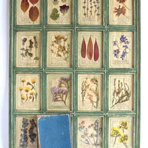 Pressed Flower Decor, Dried Flowers Framed, Farmhouse Herbarium, French Herbs Frame, Cottage Wall Hanging, Large Botanical, Dry Plants Home