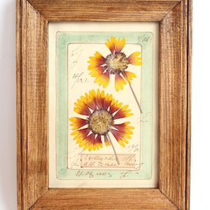 Fiori pressati con cornice vintage piccola immagine marrone, cornice artistica con erbe essiccate, decorazione da parete floreale secca, erbario botanico rustico da cucina
