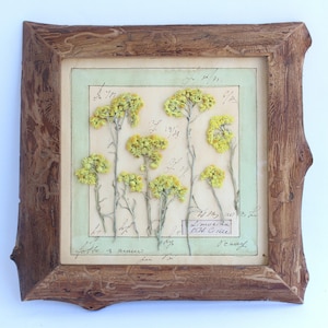 Farmhouse Wall Decor: Dried Floral Art Framed Pressed Flowers, Botanical Pictures French Wild Herbs Specimen, Real Wood Dry Rustic Herbarium