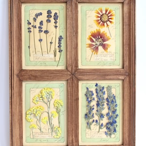 Pianta di erbe francesi pressate, decorazioni per la casa con cornice, fiori da appendere alla parete, set vintage essiccato, erbario rustico, cucina con arte floreale retrò, Pett Loss