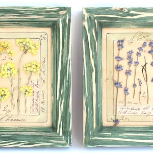 Arazzo floreale essiccato, set di 2 piccole cornici verdi, fiori pressati, decorazione botanica per fattoria, immagini vintage, erbario, regalo di campagna