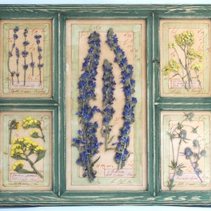 Pressed Flower Art, Farmhouse Decor Dried Plants, Vintage Framed Pictures, Floral Wall Hanging, Rustic Farmhouse Botanical Country Dry Herbs