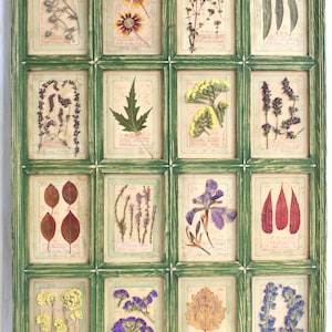 Grande decorazione da parete in stile rustico, arte floreale con fiori pressati, verde fattoria, piante aromatiche incorniciate, cornice per esemplari secchi, cucina vintage secca