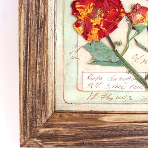 Parete artistica con fiori pressati, erbario di fiori secchi, decorazioni vintage con cornice, quadri di erbe aromatiche di fattoria, regalo botanico con rose secche, cornice rustica per piante