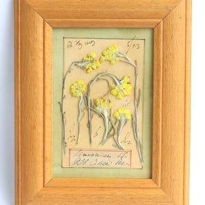 Pressed Flower Art, Farmhouse Frame Framed Dried Flowers, Country Herbs Vintage Small Gift Decor, Floral Wall Hanging, Kitchen Cottage Retro
